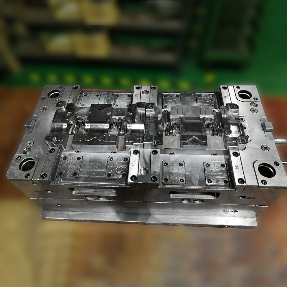 Multi Cavity Family Mould